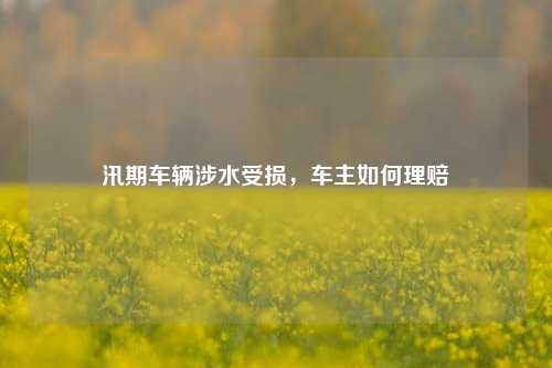 汛期车辆涉水受损，车主如何理赔