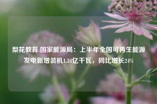 梨花教育:国家能源局：上半年全国可再生能源发电新增装机1.34亿千瓦，同比增长24%