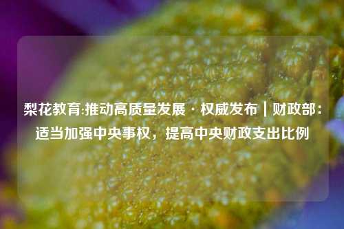 梨花教育:推动高质量发展·权威发布｜财政部：适当加强中央事权，提高中央财政支出比例