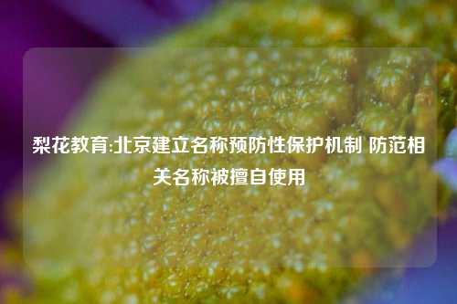 梨花教育:北京建立名称预防性保护机制 防范相关名称被擅自使用