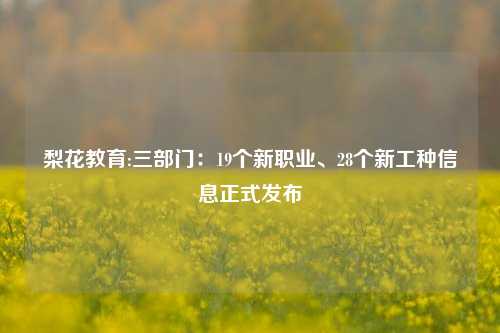 梨花教育:三部门：19个新职业、28个新工种信息正式发布