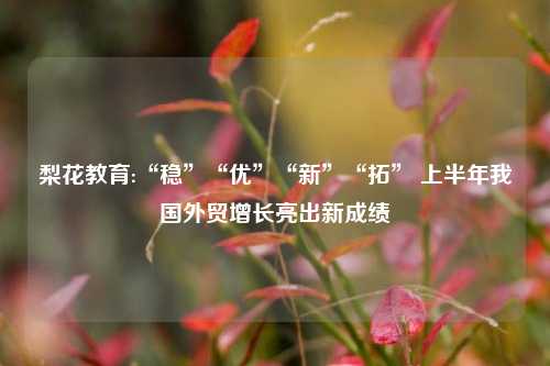 梨花教育:“稳”“优”“新”“拓” 上半年我国外贸增长亮出新成绩