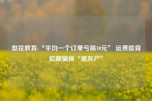 梨花教育:“平均一个订单亏损10元” 运费险背后藏骗保“黑灰产”