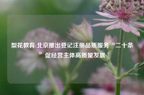 梨花教育:北京推出登记注册品质服务“二十条”促经营主体高质量发展