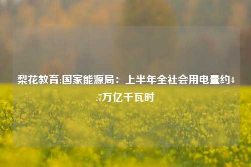 梨花教育:国家能源局：上半年全社会用电量约4.7万亿千瓦时