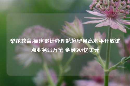 梨花教育:福建累计办理跨境贸易高水平开放试点业务2.2万笔 金额59.9亿美元