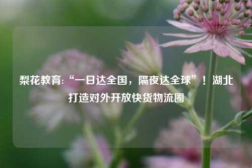 梨花教育:“一日达全国，隔夜达全球”！湖北打造对外开放快货物流圈