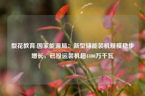 梨花教育:国家能源局：新型储能装机规模稳步增长，已投运装机超4400万千瓦