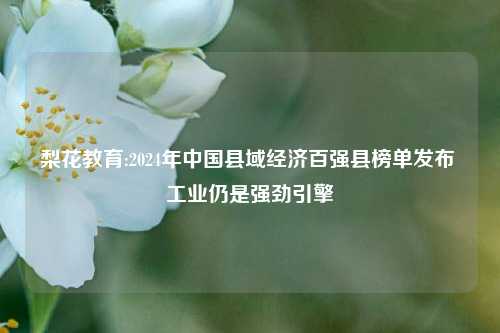 梨花教育:2024年中国县域经济百强县榜单发布 工业仍是强劲引擎