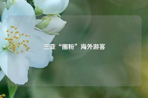 三亚“圈粉”海外游客