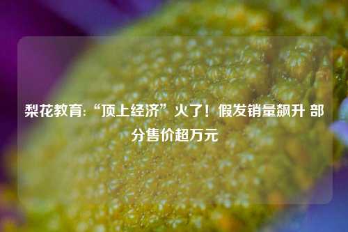 梨花教育:“顶上经济”火了！假发销量飙升 部分售价超万元