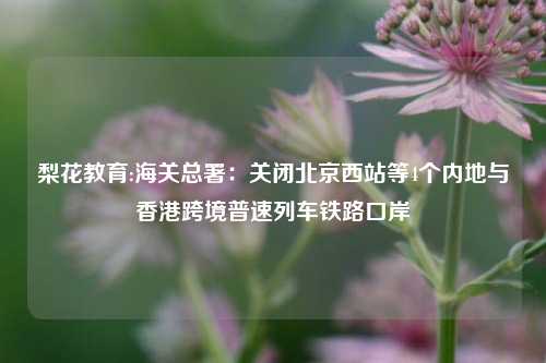 梨花教育:海关总署：关闭北京西站等4个内地与香港跨境普速列车铁路口岸