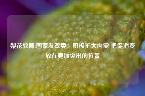 梨花教育:国家发改委：积极扩大内需 把促消费放在更加突出的位置