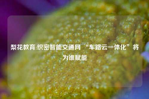 梨花教育:织密智能交通网 “车路云一体化”将为谁赋能
