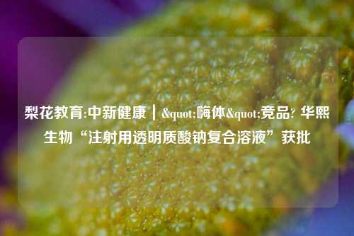 梨花教育:中新健康｜"嗨体"竞品? 华熙生物“注射用透明质酸钠复合溶液”获批