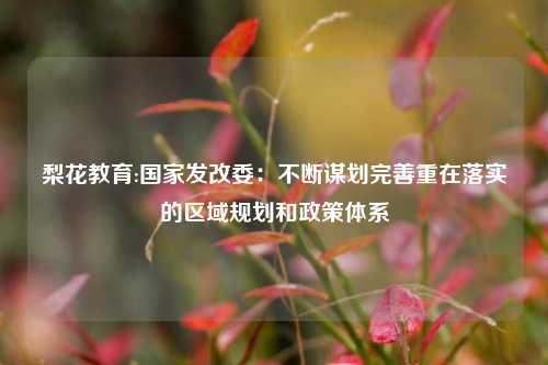 梨花教育:国家发改委：不断谋划完善重在落实的区域规划和政策体系