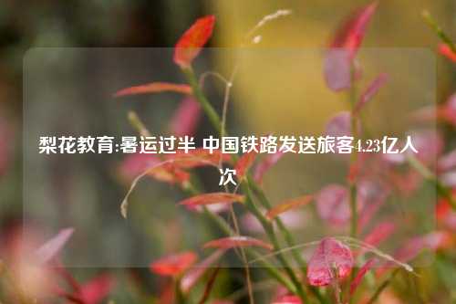 梨花教育:暑运过半 中国铁路发送旅客4.23亿人次