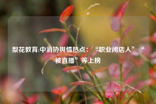 梨花教育:中消协舆情热点：“职业闭店人”“被直播”等上榜