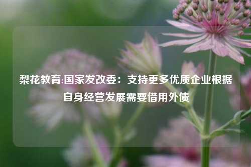 梨花教育:国家发改委：支持更多优质企业根据自身经营发展需要借用外债