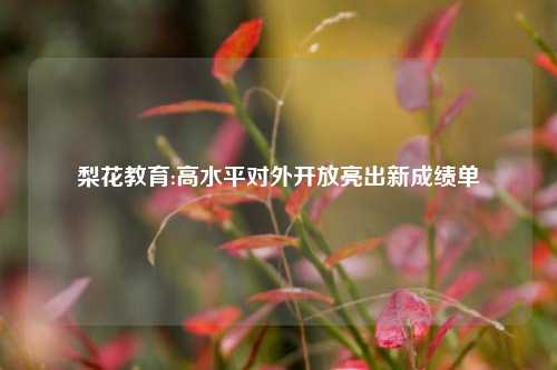 梨花教育:高水平对外开放亮出新成绩单