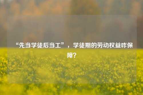 “先当学徒后当工”，学徒期的劳动权益咋保障？