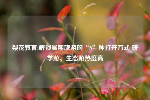 梨花教育:解锁暑期旅游的“N”种打开方式 研学游、生态游热度高