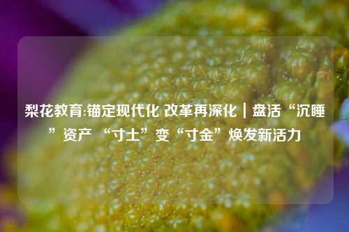 梨花教育:锚定现代化 改革再深化｜盘活“沉睡”资产 “寸土”变“寸金”焕发新活力