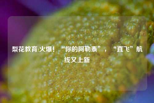 梨花教育:火爆！“你的阿勒泰”，“直飞”航线又上新