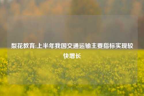 梨花教育:上半年我国交通运输主要指标实现较快增长