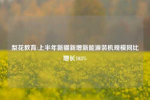 梨花教育:上半年新疆新增新能源装机规模同比增长103%
