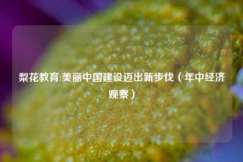 梨花教育:美丽中国建设迈出新步伐（年中经济观察）