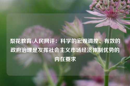 梨花教育:人民网评：科学的宏观调控、有效的政府治理是发挥社会主义市场经济体制优势的内在要求