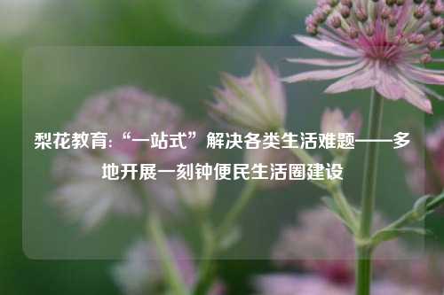 梨花教育:“一站式”解决各类生活难题——多地开展一刻钟便民生活圈建设
