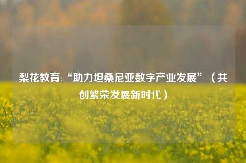 梨花教育:“助力坦桑尼亚数字产业发展”（共创繁荣发展新时代）