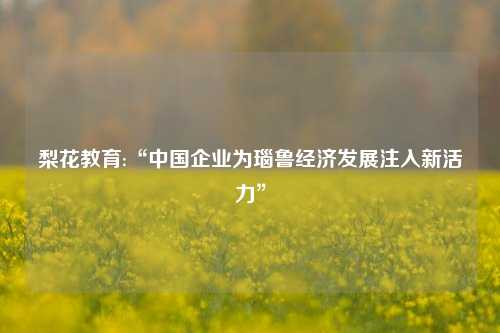 梨花教育:“中国企业为瑙鲁经济发展注入新活力”