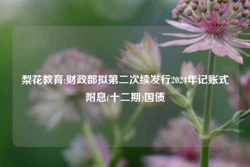 梨花教育:财政部拟第二次续发行2024年记账式附息(十二期)国债