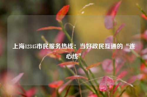 上海12345市民服务热线：当好政民互通的“连心线”