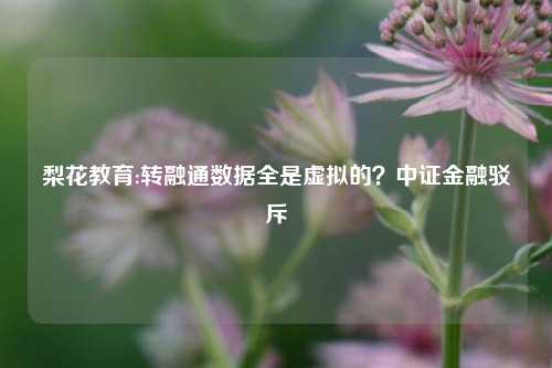 梨花教育:转融通数据全是虚拟的？中证金融驳斥