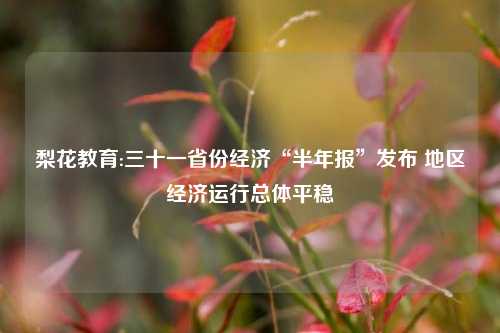 梨花教育:三十一省份经济“半年报”发布 地区经济运行总体平稳