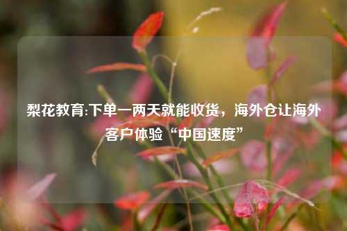 梨花教育:下单一两天就能收货，海外仓让海外客户体验“中国速度”