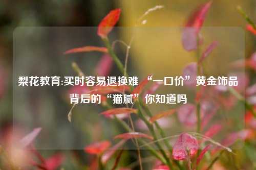 梨花教育:买时容易退换难 “一口价”黄金饰品背后的“猫腻”你知道吗