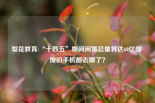 梨花教育:“十四五”期间闲置总量将达60亿部 废旧手机都去哪了？