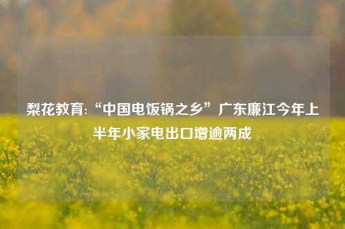 梨花教育:“中国电饭锅之乡”广东廉江今年上半年小家电出口增逾两成