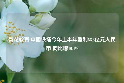 梨花教育:中国铁塔今年上半年盈利53.3亿元人民币 同比增10.1%