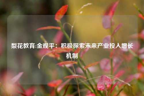 梨花教育:金观平：积极探索未来产业投入增长机制