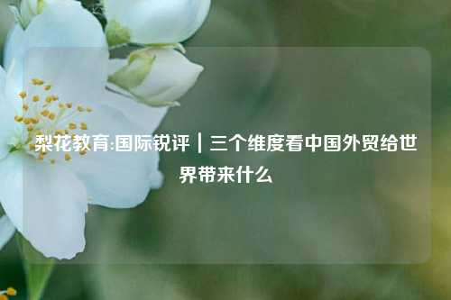 梨花教育:国际锐评｜三个维度看中国外贸给世界带来什么