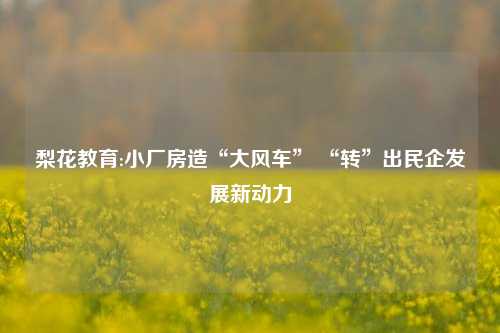 梨花教育:小厂房造“大风车” “转”出民企发展新动力