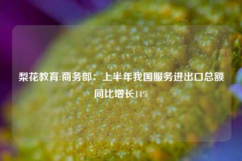 梨花教育:商务部：上半年我国服务进出口总额同比增长14%