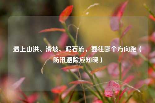 遇上山洪、滑坡、泥石流，要往哪个方向跑（防汛避险应知晓）
