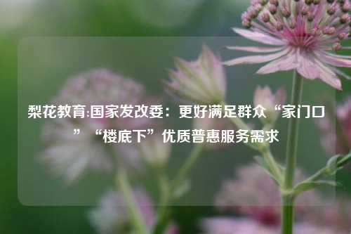 梨花教育:国家发改委：更好满足群众“家门口”“楼底下”优质普惠服务需求